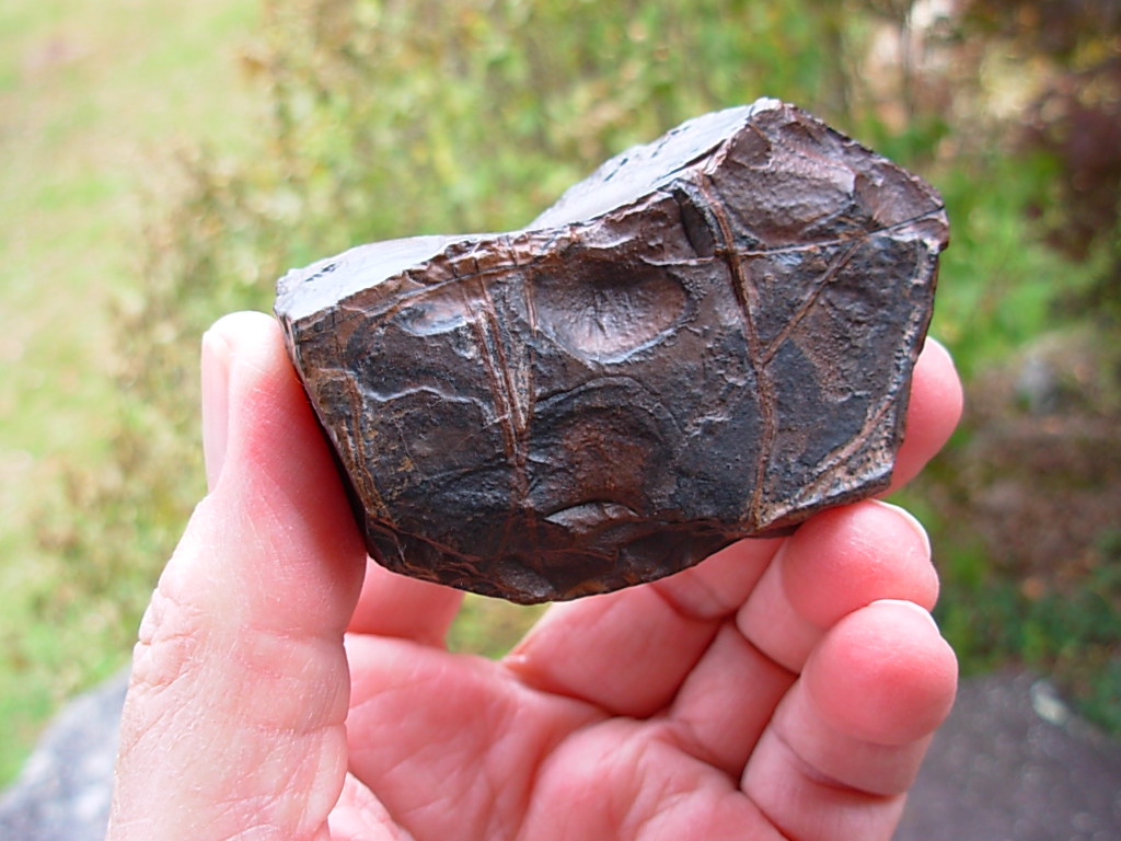 Goethite with Desert Varnish found in the Sahara Desert
