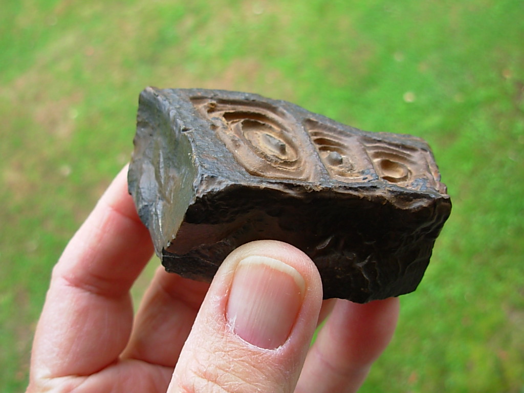 Goethite with Desert Varnish found in the Sahara Desert