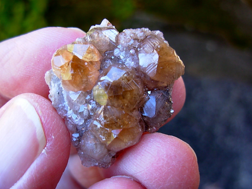 Grossular Garnets on matrix from Jefferson Mine Asbestos Canada