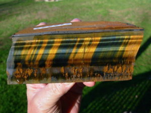 Hawk's Eye (Blue and Gold)