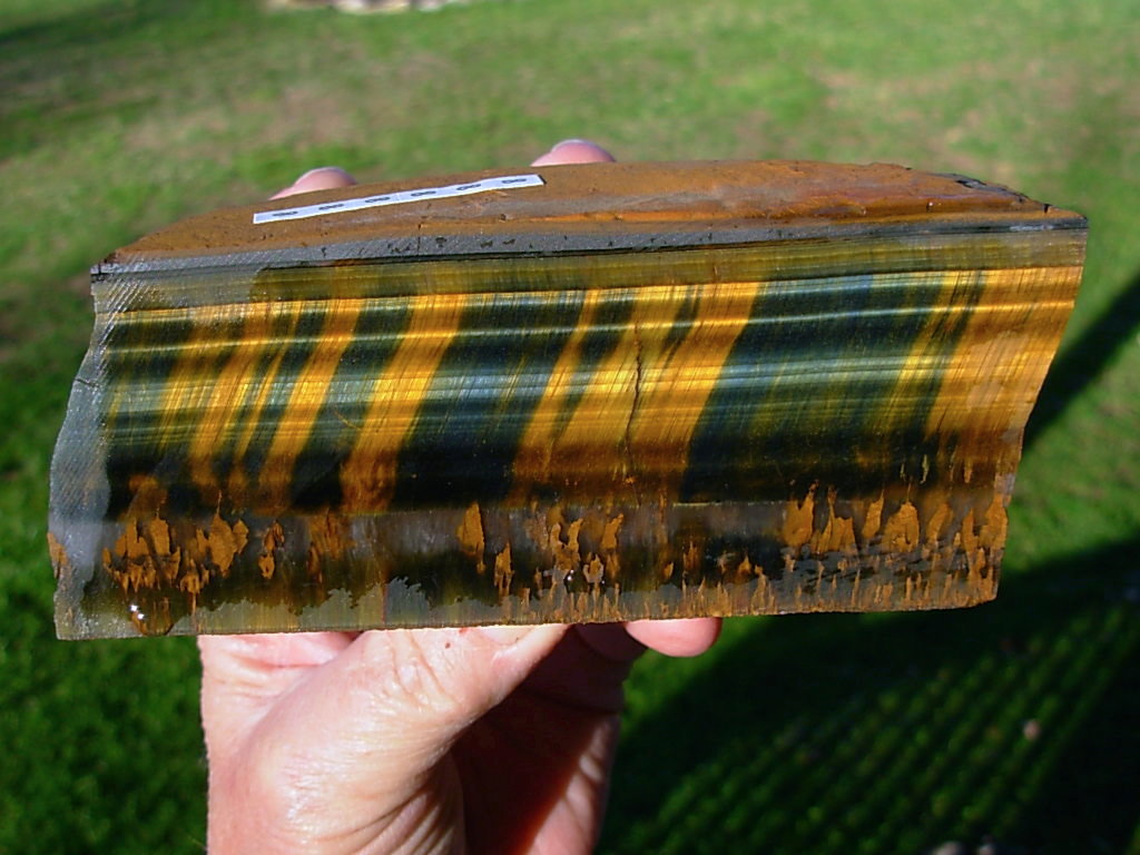 Hawk's Eye (Blue and Gold)