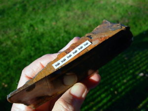 Hawk's Eye over Plume Agate Face Cut Nodule from Western Australia