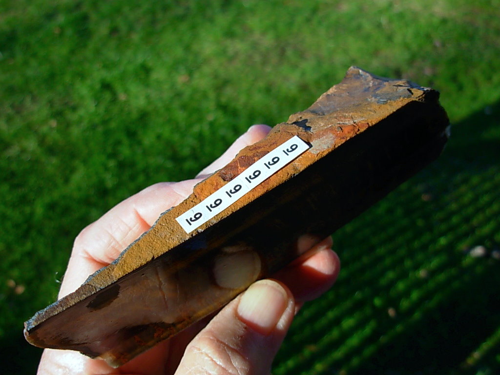 Hawk's Eye over Plume Agate Face Cut Nodule from Western Australia