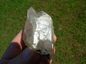 Elestial Jacaré Alligator Quartz Crystal