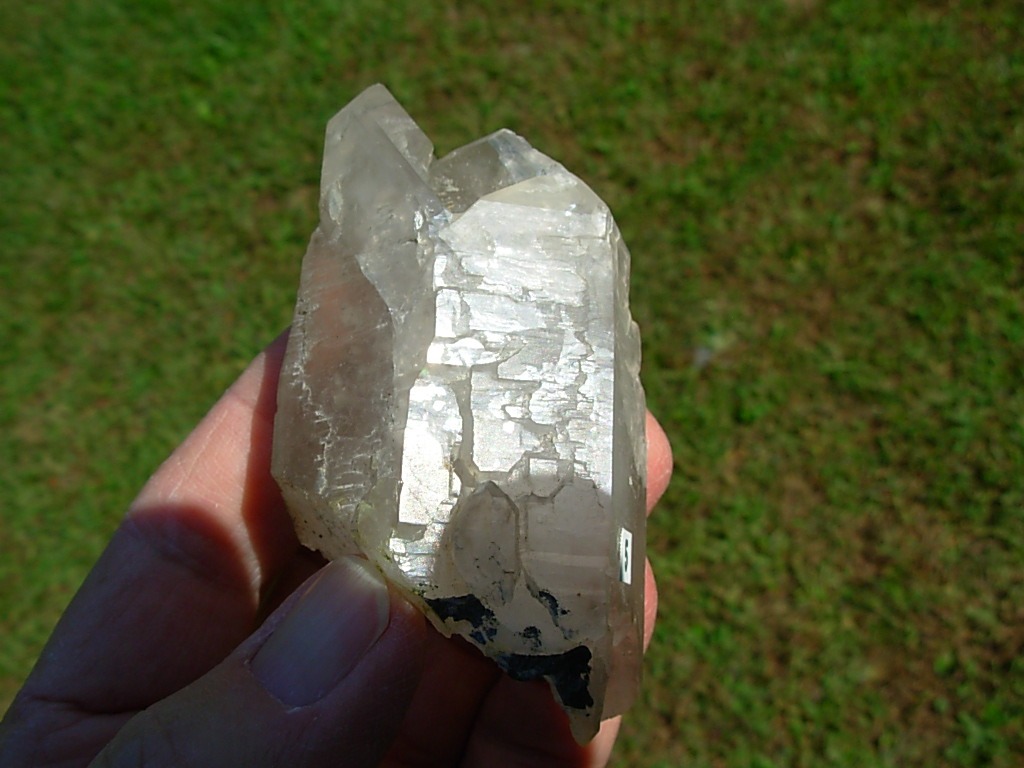 Elestial Jacaré Alligator Quartz Crystal