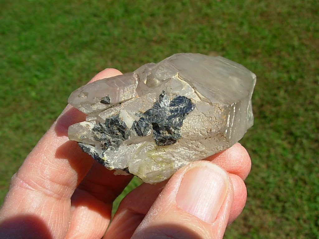 Elestial Jacaré Alligator Quartz Crystal