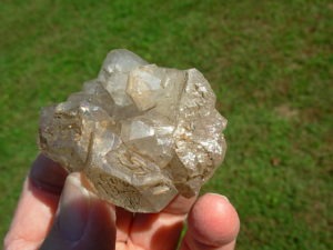 Elestial Jacaré Alligator Smoky Quartz Crystals