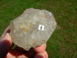 Elestial Jacaré Alligator Smoky Quartz Crystals