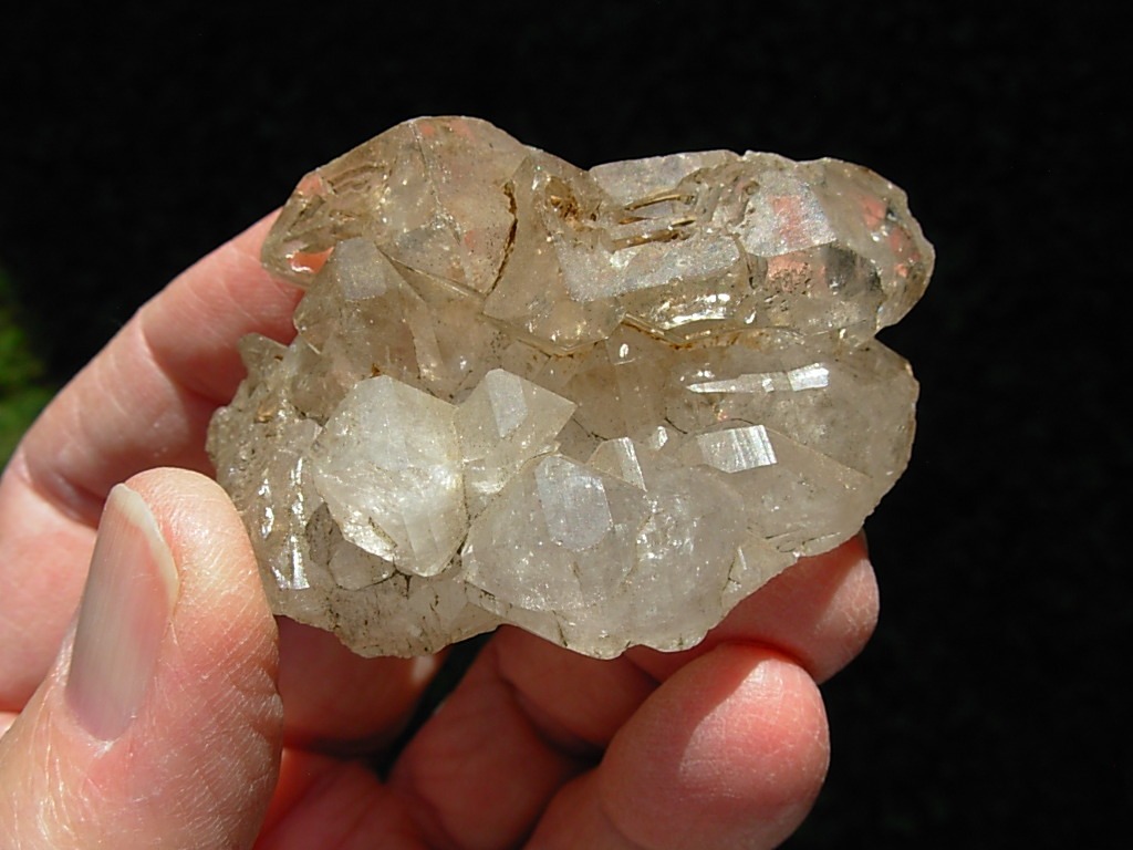 Elestial Jacaré Alligator Smoky Quartz Crystals