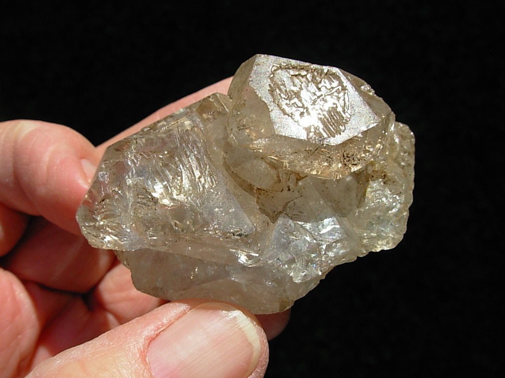 Elestial Jacaré Alligator Smoky Quartz Crystals