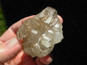 Elestial Jacaré Alligator Smoky Quartz Crystals - Spirit Rock Shop