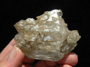 Elestial Jacaré Alligator Smoky Quartz Crystals