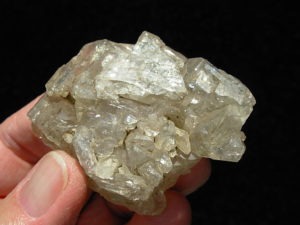 Elestial Jacaré Alligator Smoky Quartz Crystals