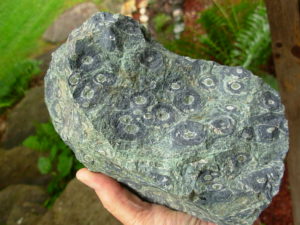 Kambaba Jasper Rough from Madagascar