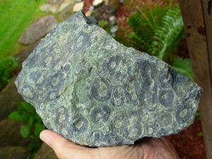 Kambaba Jasper Rough from Madagascar