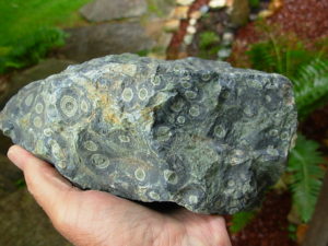 Kambaba Jasper Rough from Madagascar