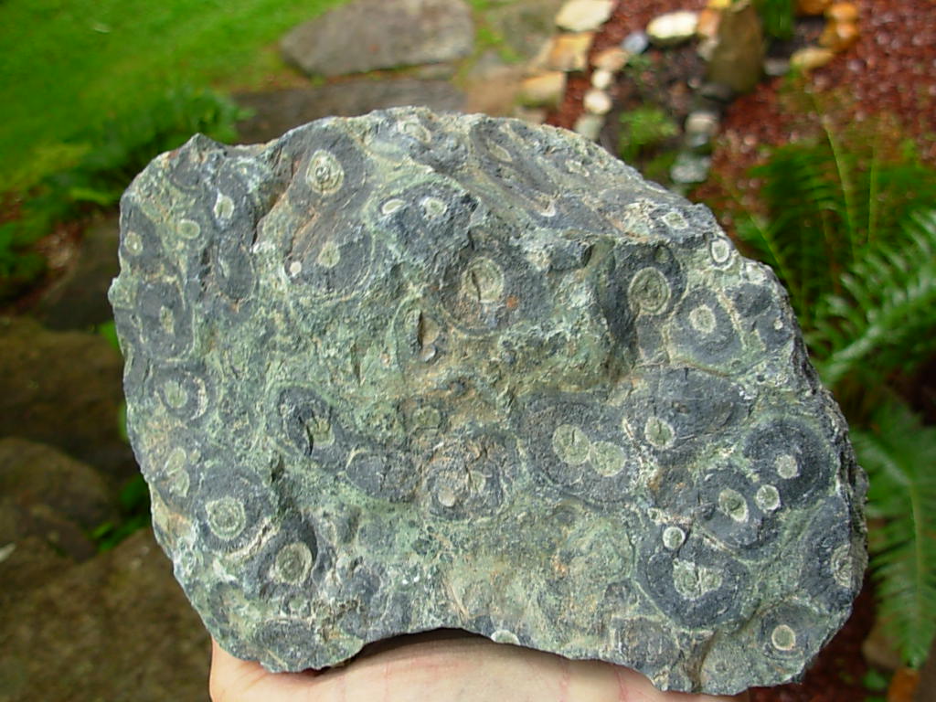 Kambaba Jasper Rough from Madagascar