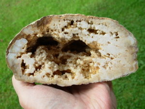 Kentucky Geode Cut Half