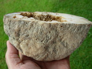 Kentucky Geode Cut Half