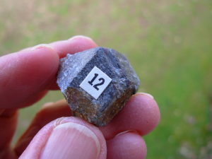 Garnets from Little Pine Mine, NC