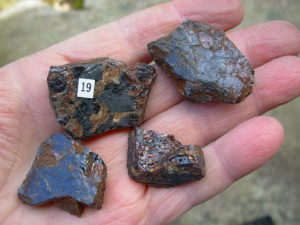 Garnets from Little Pine Mine, NC