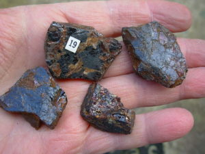 Garnets from Little Pine Mine, NC