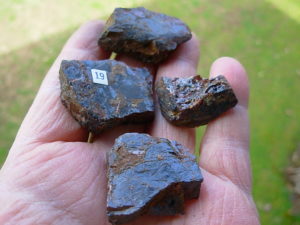 Garnets from Little Pine Mine, NC