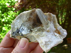 Muscovite