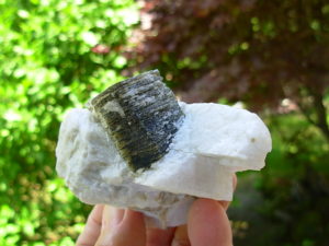 Muscovite