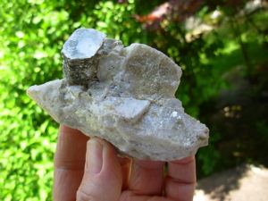 Muscovite