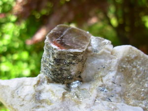 Muscovite