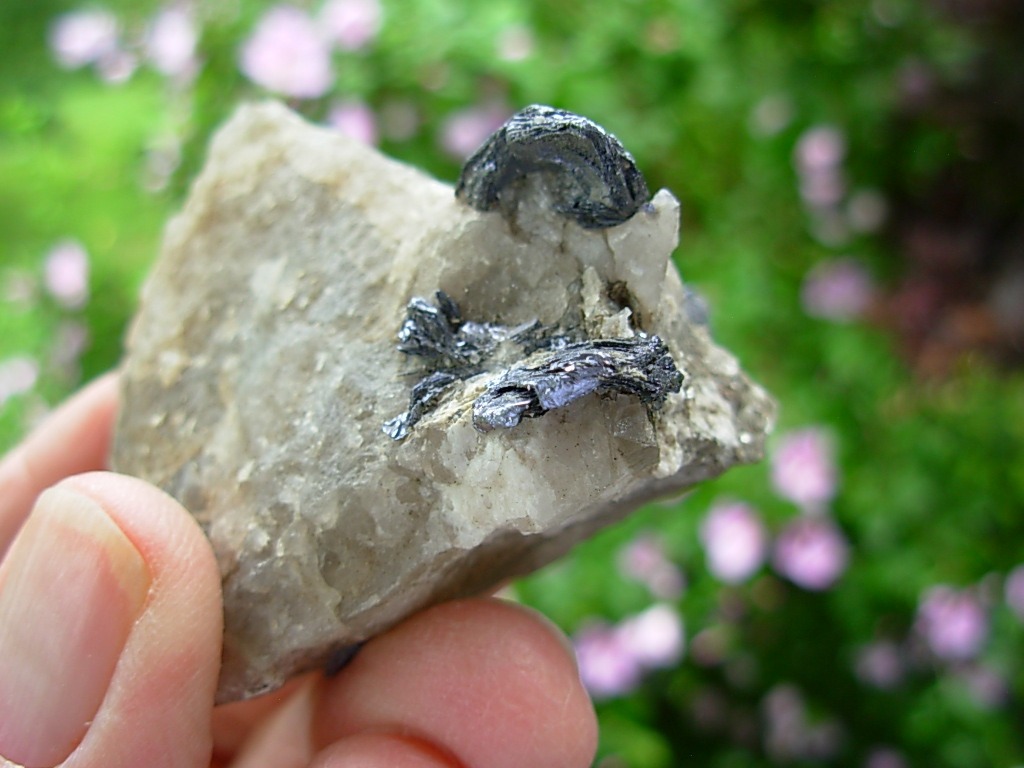 Molybdenite in Quartz matrix from the Molly Hill Mine, Quebec, Canada