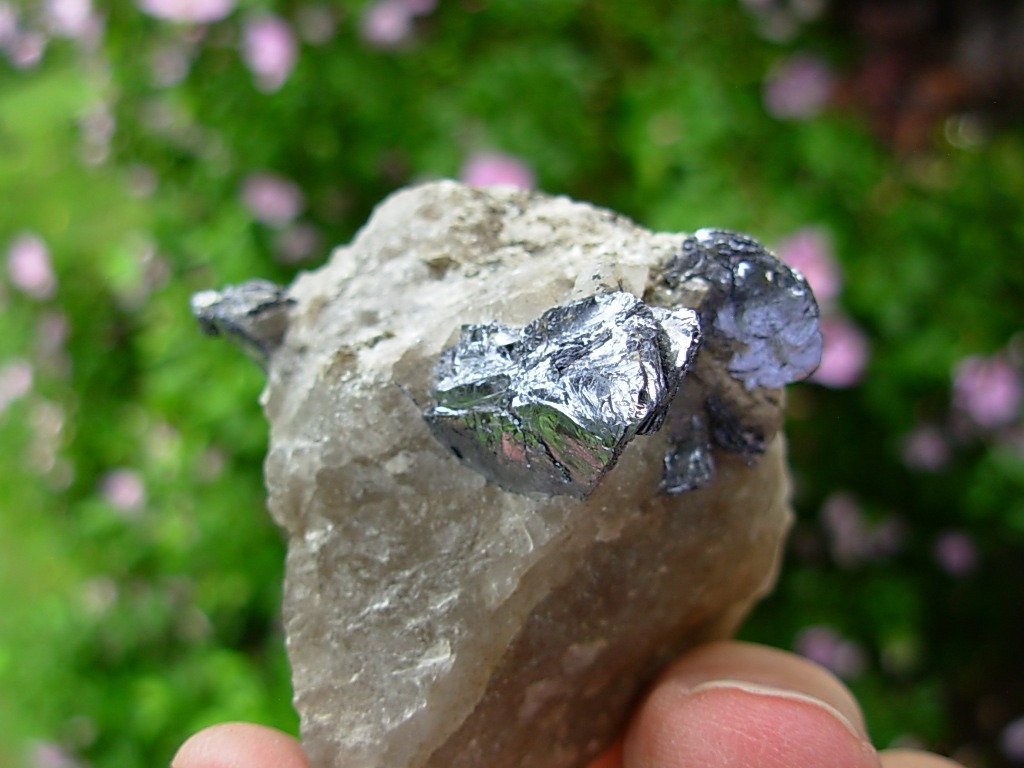 Molybdenite in Quartz matrix from the Molly Hill Mine, Quebec, Canada