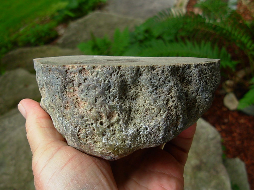 Mushroom Jasper Rough from Arizona