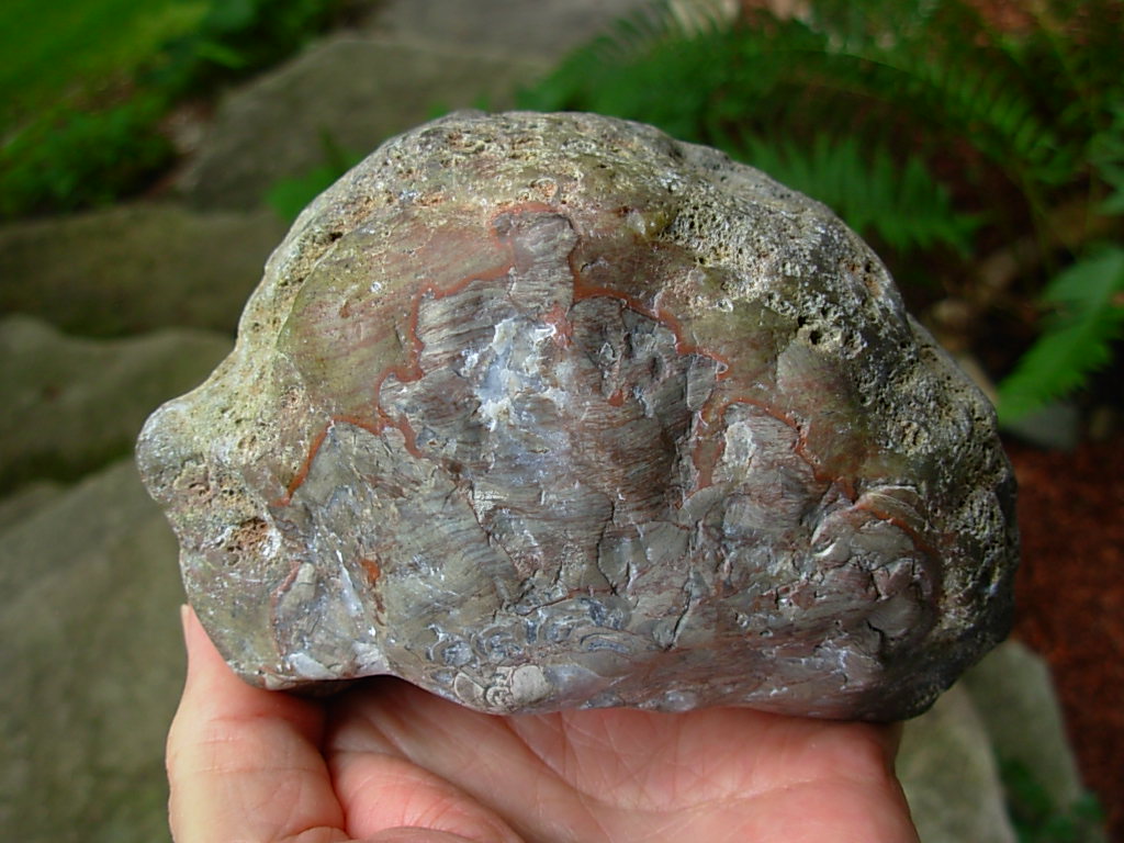 Mushroom_Jasper_51_4_