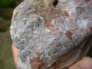 Mushroom Jasper Rough from Arizona