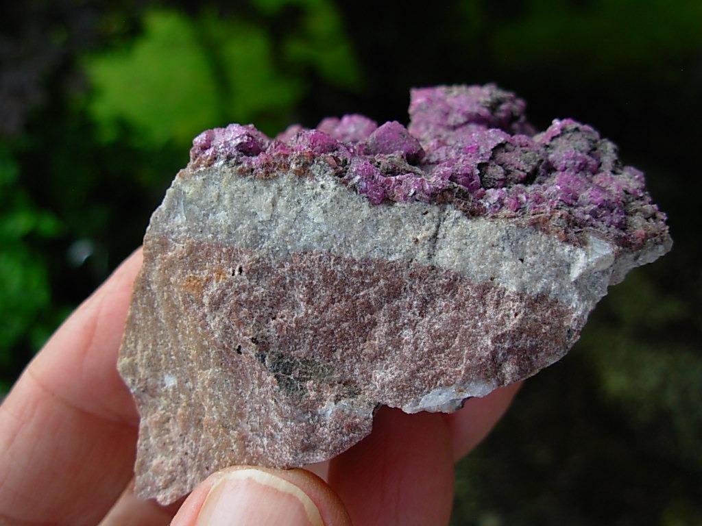 Mystery Rock #2