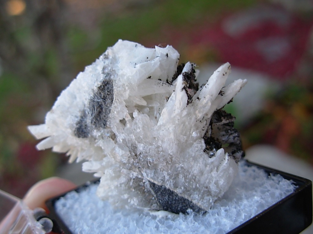 Perky Box Mystery Rock