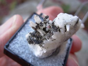Perky Box Mystery Rock