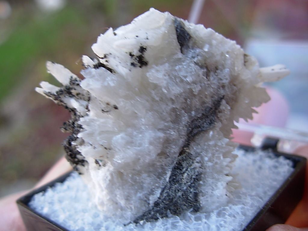 Perky Box Mystery Rock