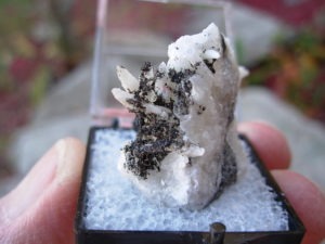 Perky Box Mystery Rock
