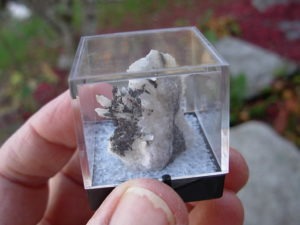 Perky Box Mystery Rock