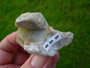 Beryl in Albite Quartz Muscovite Matrix Ray Mine