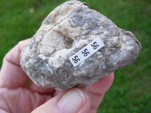 North Carolina Mica Specimen