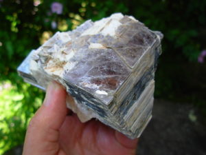 Muscovite