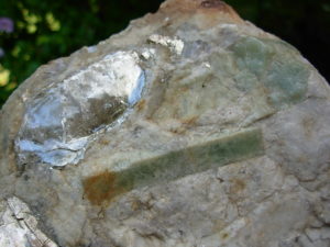 Muscovite