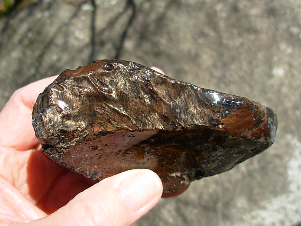 Gold Sheen Obsidian Rough