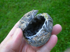 Polished Large Ocos Geode with Lid