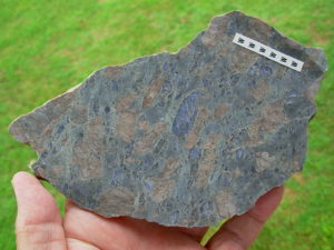 Lapidary Slabs and Rough Stock