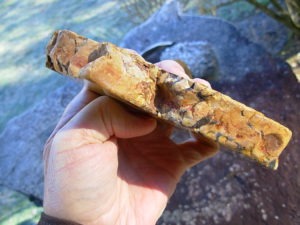 1.23 lb Polished Face Thick Peanut Wood DisplaySlab